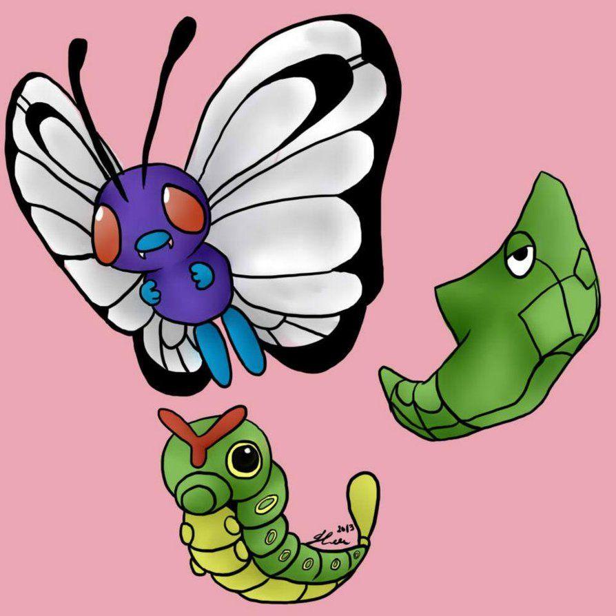 Metapod Wallpapers - Top Free Metapod Backgrounds - WallpaperAccess