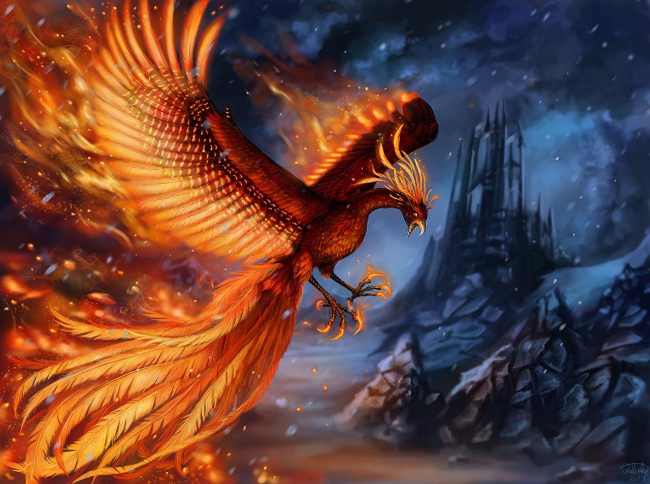 1280x952 Picture Birds Phoenix mythology Wings Magical animals Animals