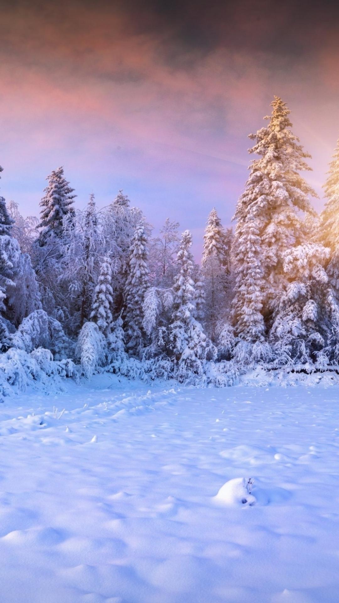 1080x1920 Winter Wallpaper For iPhone iPhone 7 Plus, iPhone