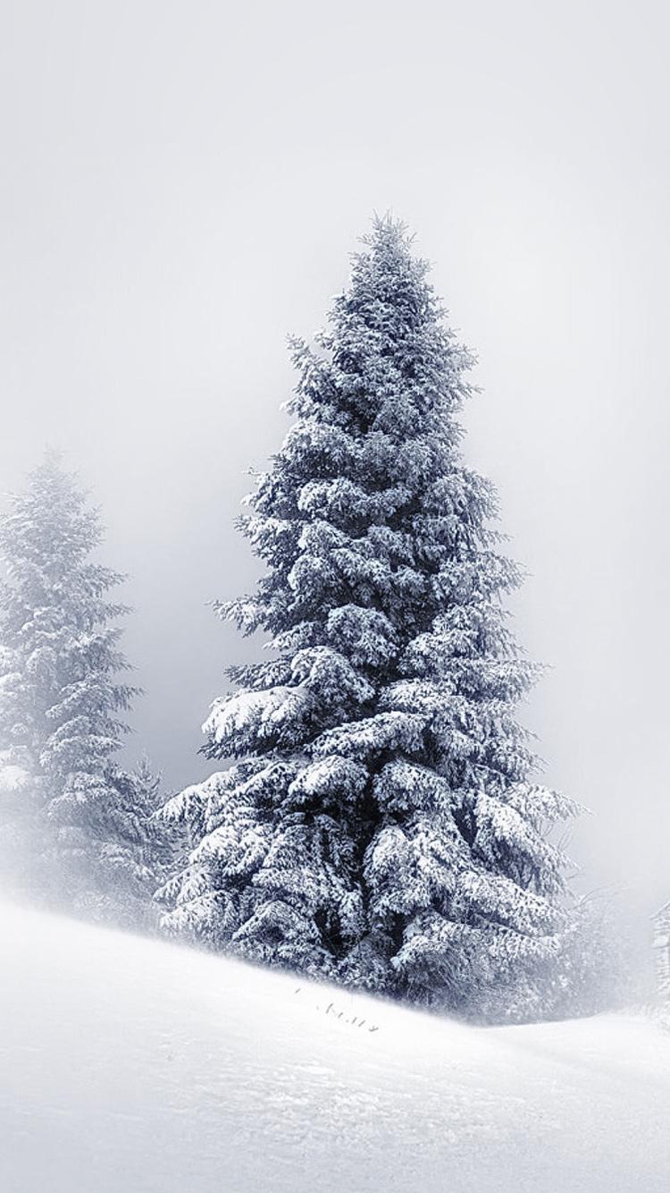 750x1334 Winter iPhone 7 Wallpaper [750x1334]