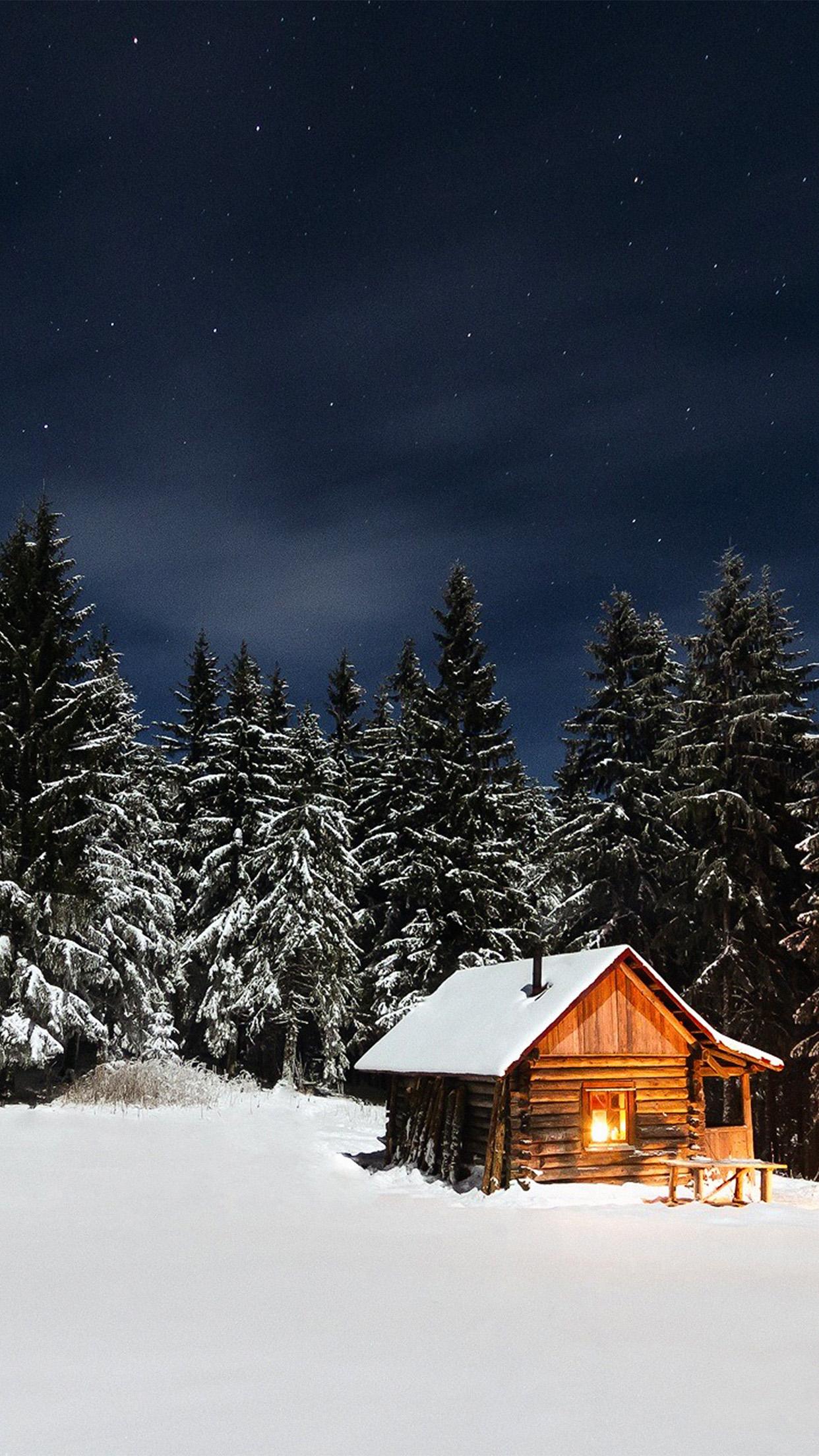 1242x2208 iPhone X wallpaper. winter house night sky christmas