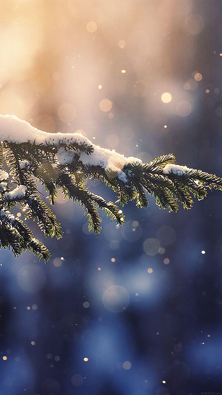 736x1309 Get Wallpaper:. iPhone wallpaper winter, Wallpaper iphone christmas, Winter wallpaper