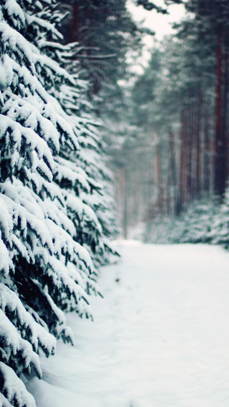 750x1334 Winter Snow Live Wallpaper 7 Plus Wallpaper Snow Wallpaper & Background Download