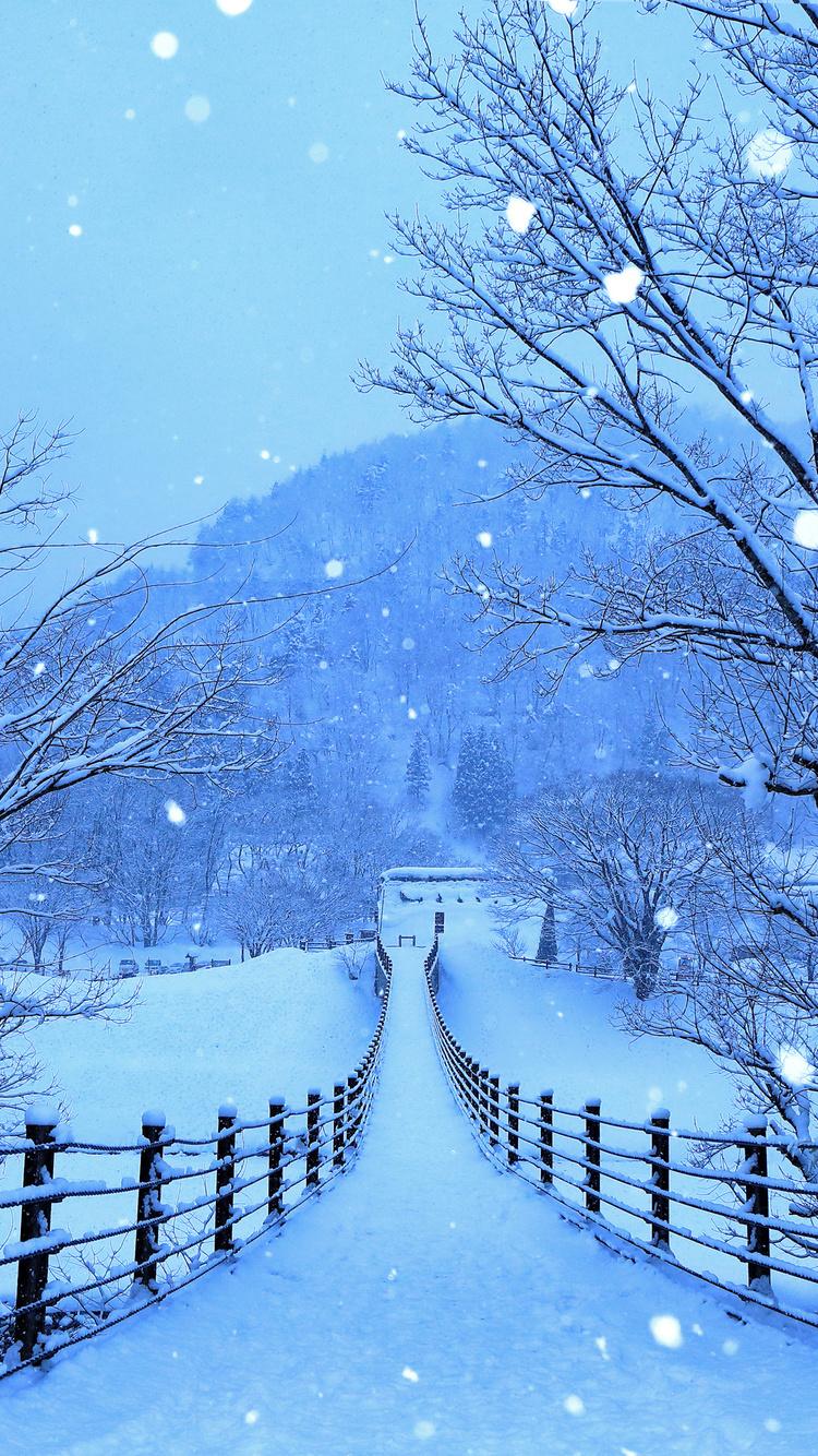 750x1334 Winter Roads Of Japan 4k iPhone iPhone 6S, iPhone 7 HD 4k Wallpaper, Image, Background, Photo and Picture