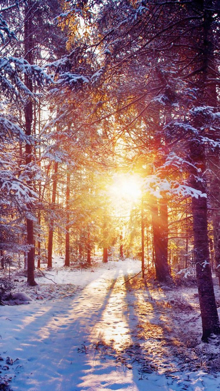 750x1334 Free download Winter Dawn iPhone 6 Wallpaper HD iPhone 6 Wallpaper [750x1334] for your Desktop, Mobile & Tablet. Explore Winter Wallpaper for iPhone. Winter Wallpaper for iPad, Snow iPhone