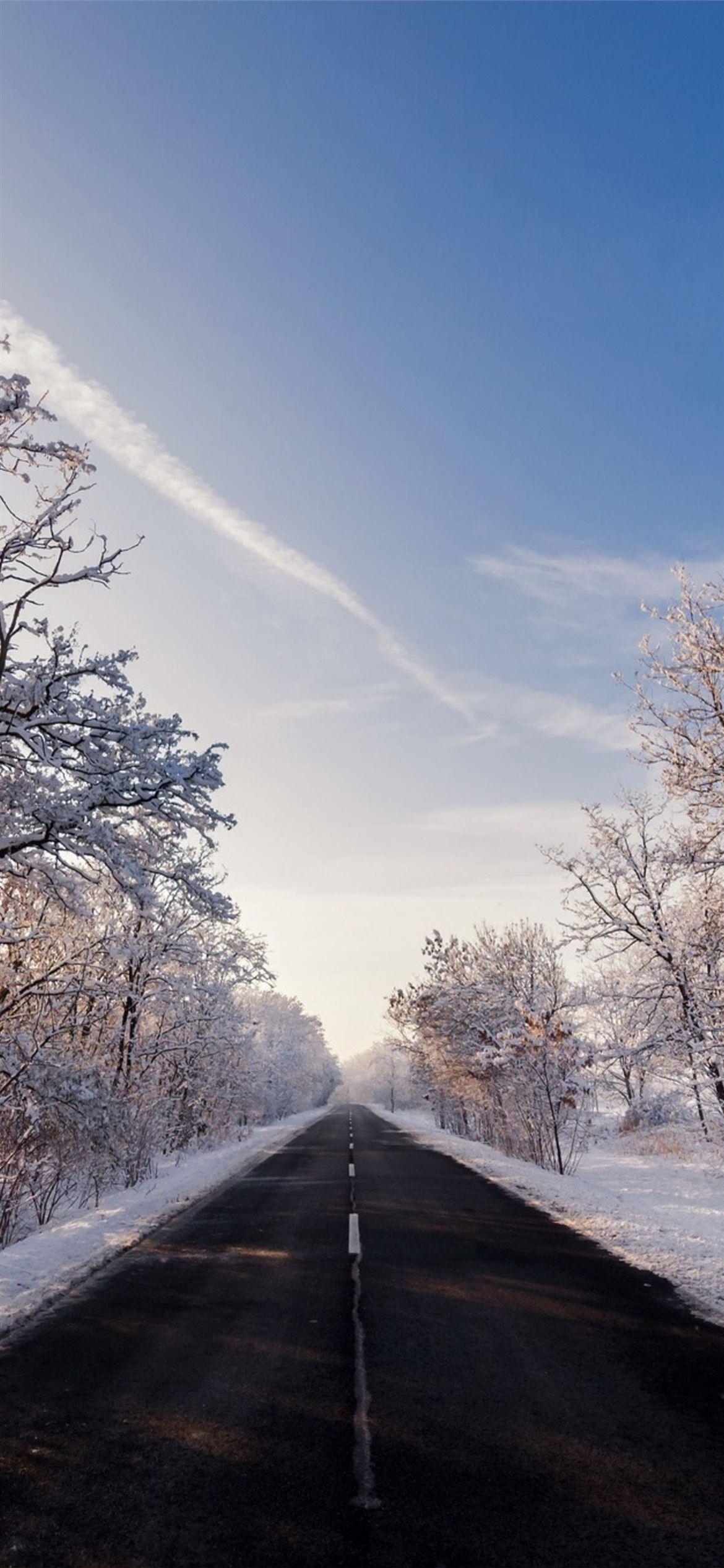 1170x2532 autumn winter road outdoors iPhone Wallpaper Free Download