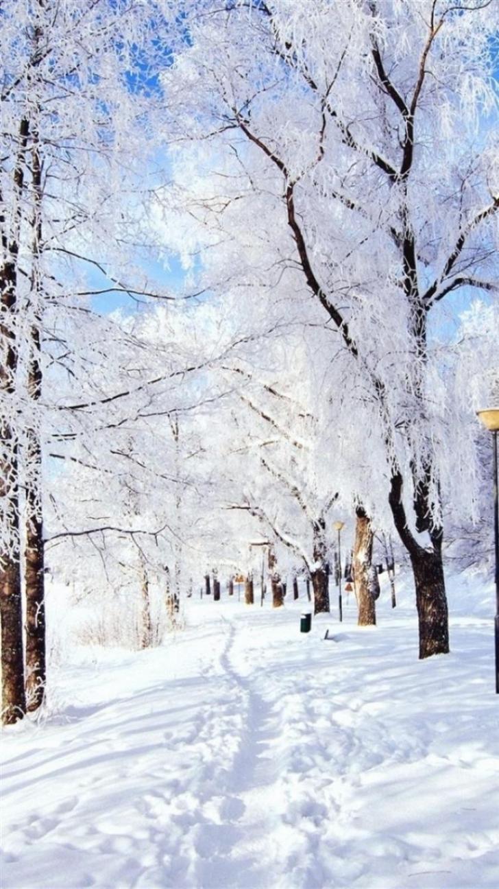 728x1296 Wallpaper HD: Snowflake, Winter, Wallpaper, iPhone, Venera, Wallpaper