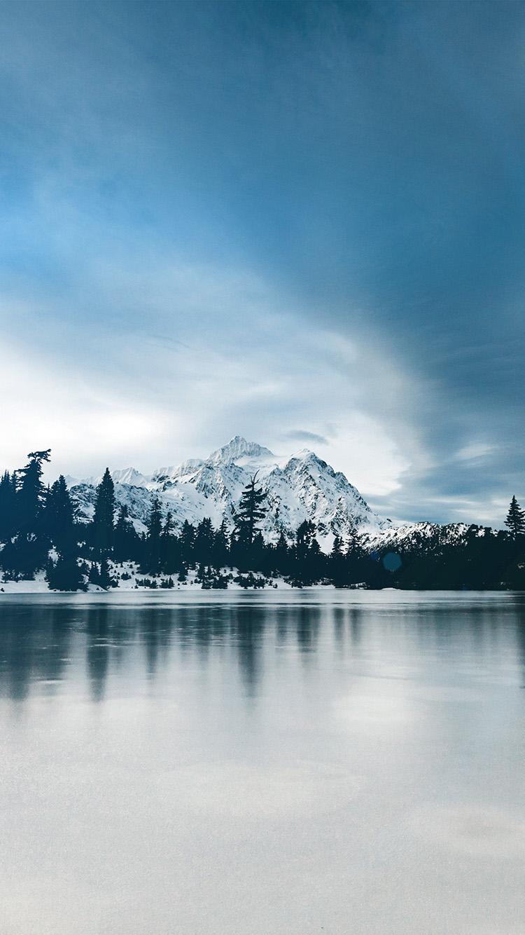 750x1334 iPhone X wallpaper. frozen lake winter snow wood forest cold