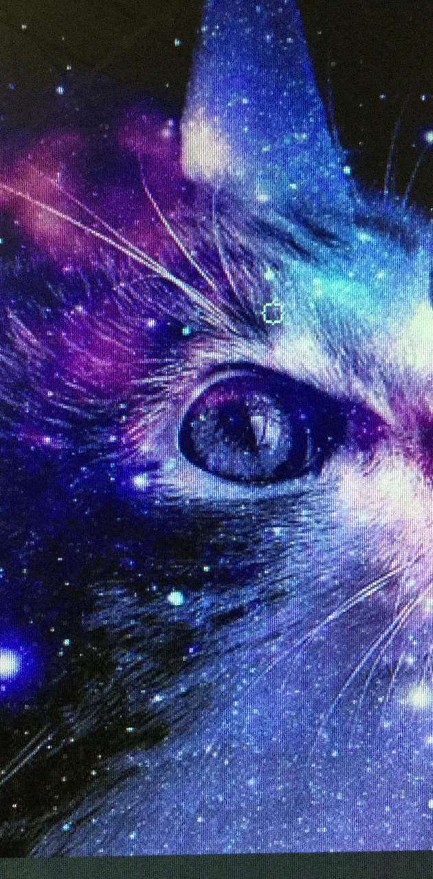 Purple galaxy cats by xRebelYellx on DeviantArt