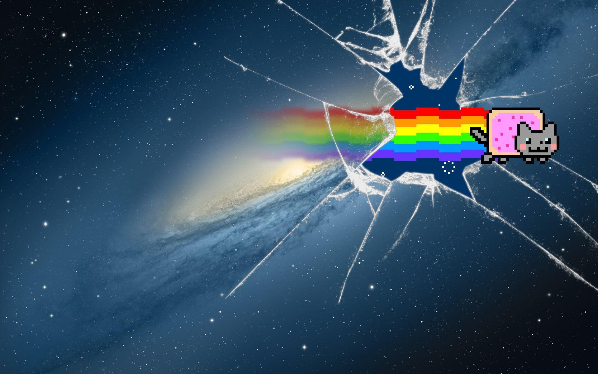 1920x1200 Galaxy Cat Wallpaper