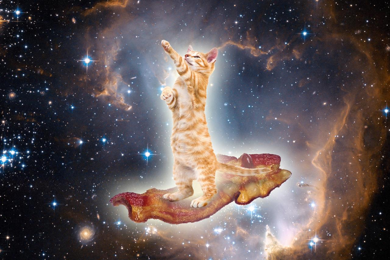 1280x853 Free download Displaying 14 Image For Galaxy Cat Wallpaper [1280x853] for your Desktop, Mobile & Tablet. Explore Galaxy Cat iPhone Wallpaper. Galaxy Wallpaper for Girls, Galaxy 5s Wallpaper, Cool Wallpaper Galaxy