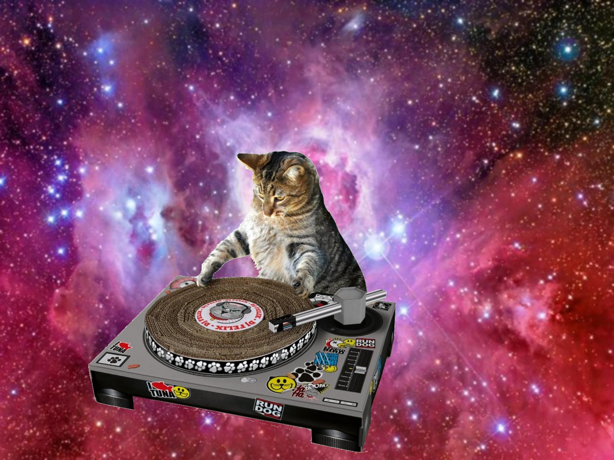 1984x1488 Space Kittens Desktop Wallpaper