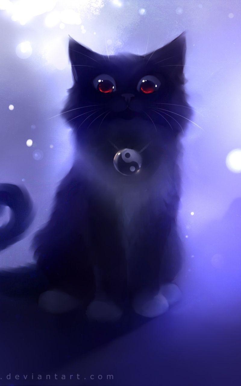 800x1280 Galaxy cat wallpaper