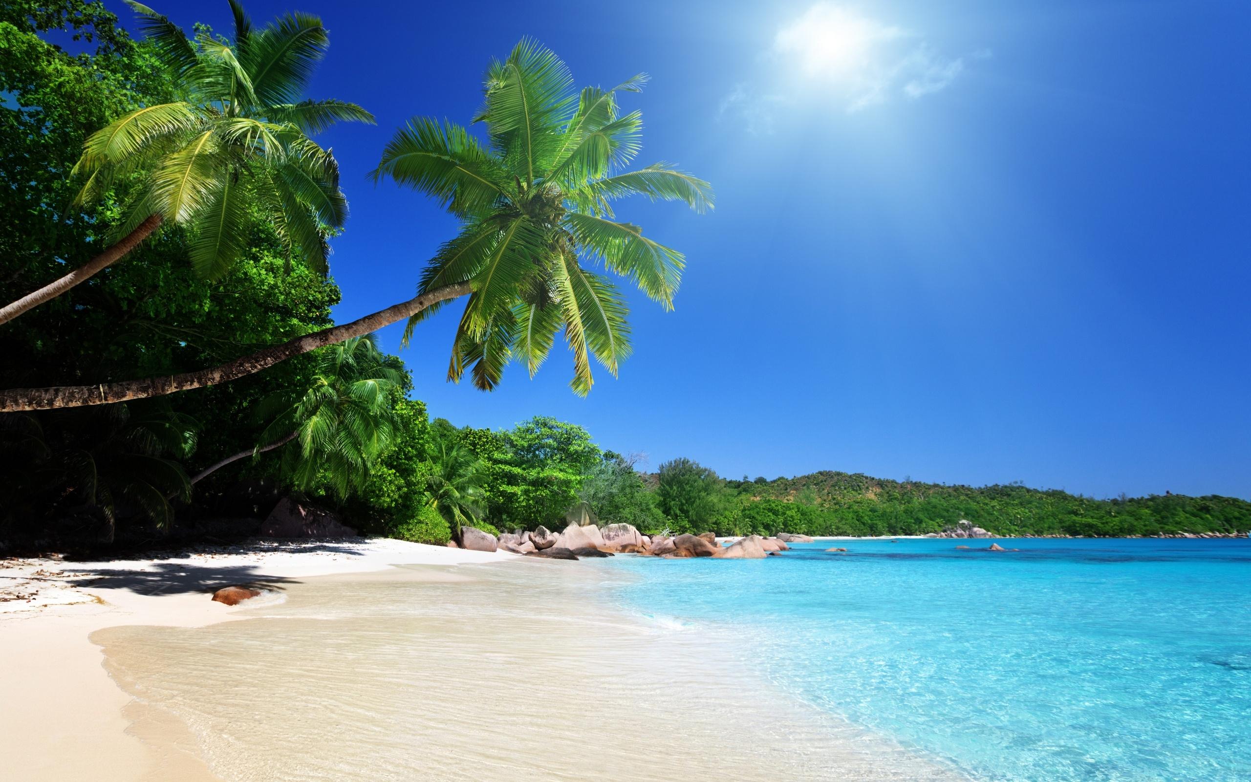 2560x1600 Tropical beach wallpaperx1600