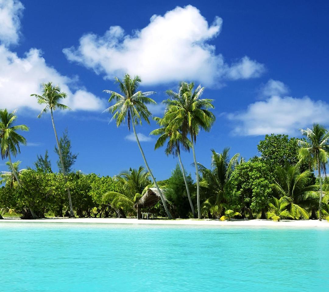 1080x960 Awesome noon on tropical beach wallpaper