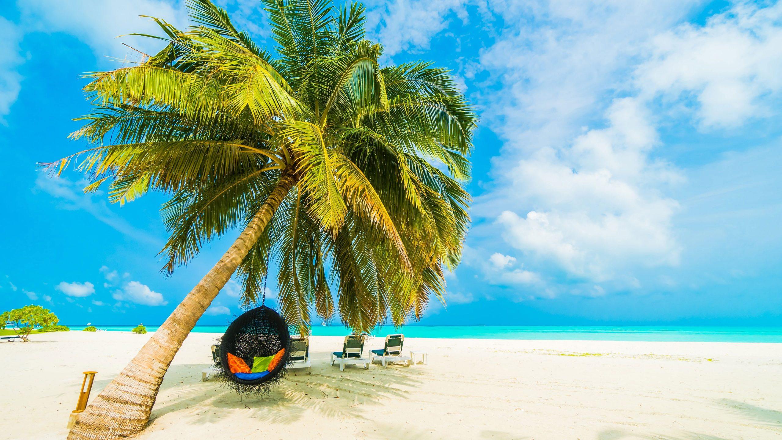 2560x1440 Wallpaper Tropical Beach, Maldives, Tropical Landscape • Wallpaper For You