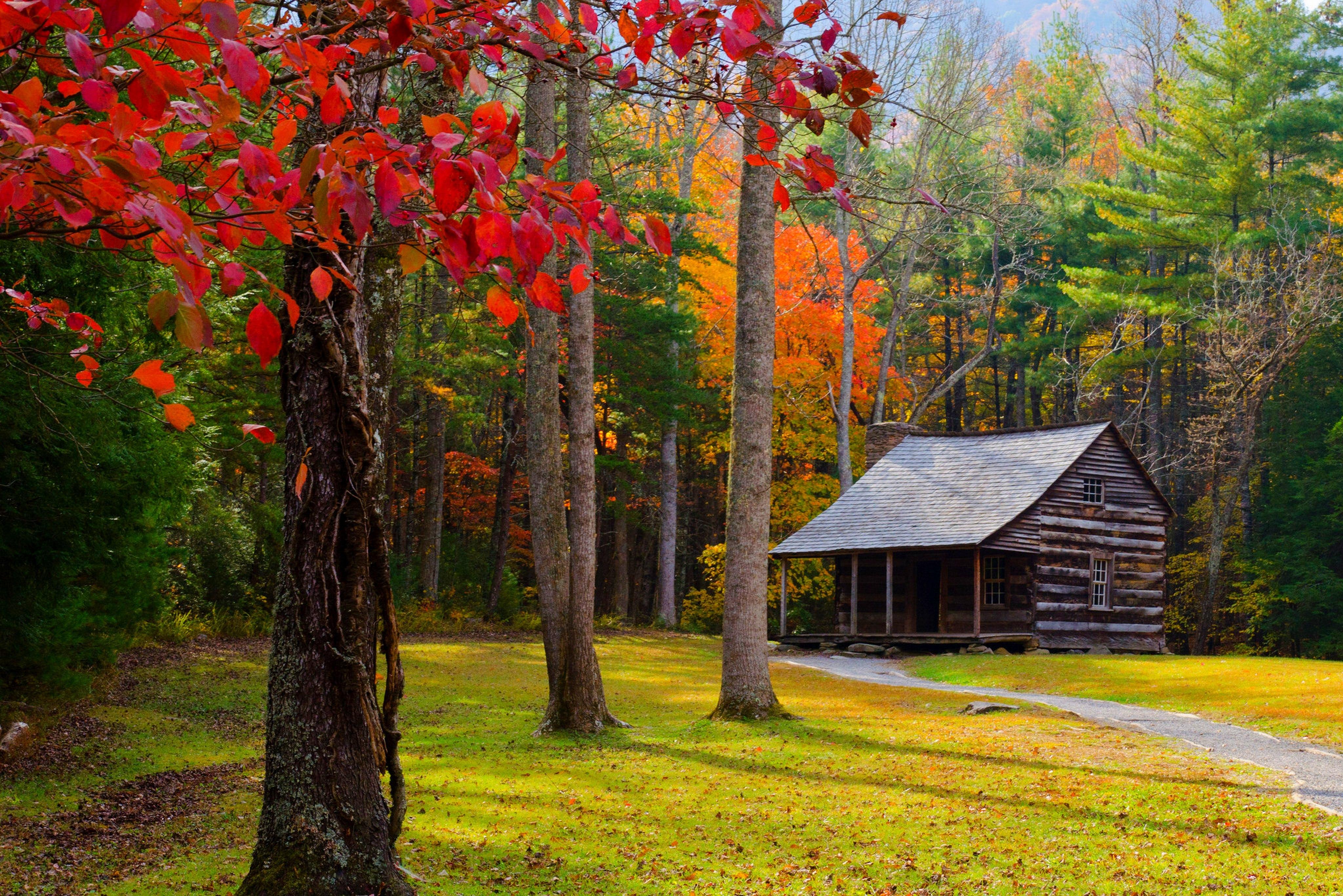 4096x2732 Cabin in Autumn Forest