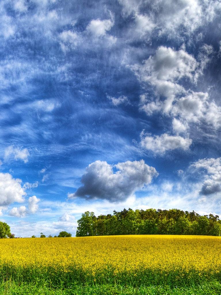 768x1024 portrait mode wallpaper, sky, natural landscape, field, nature, cloud