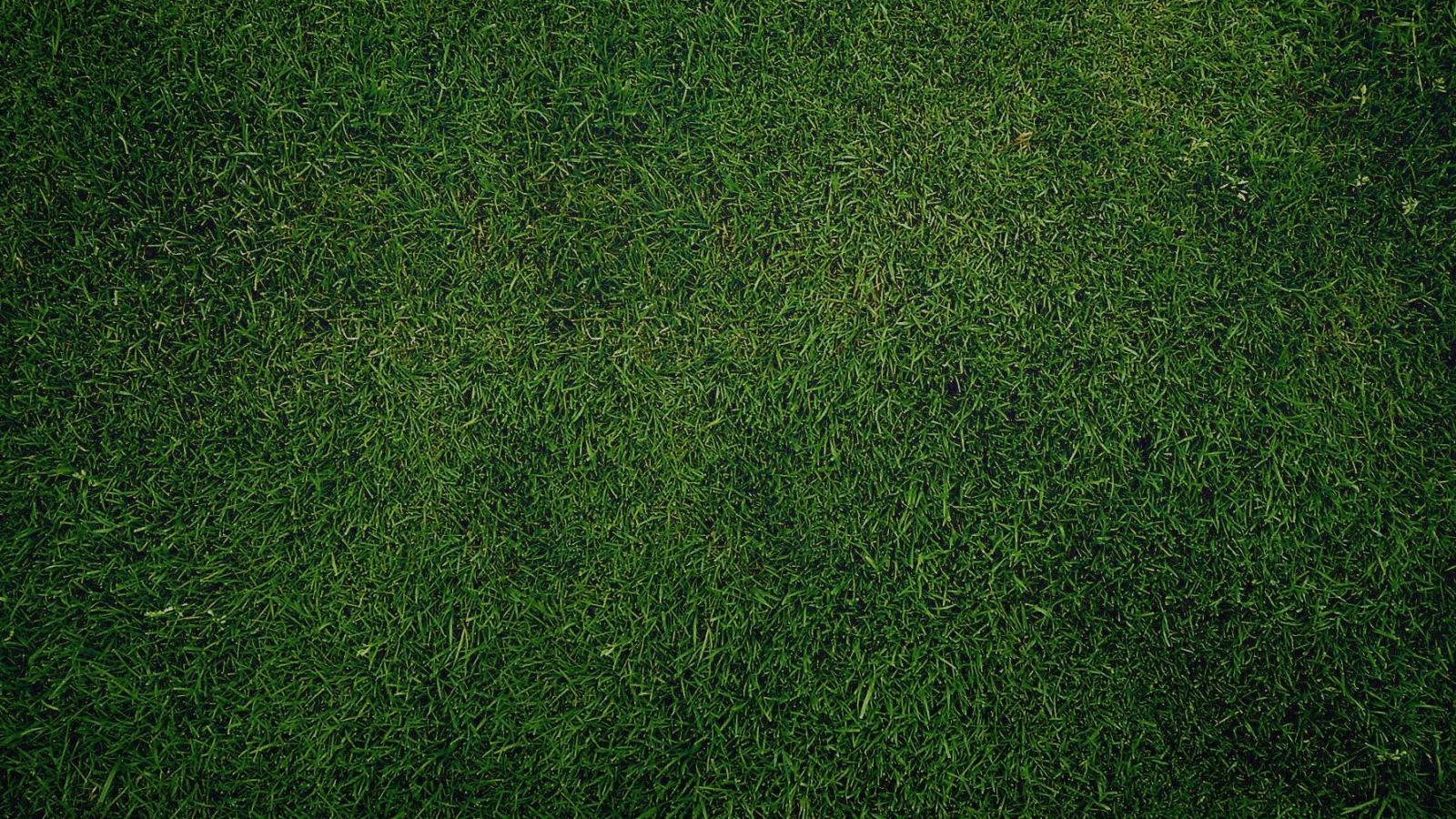 1600x900 Free download Download Dark Green Grass Texture And High Resolution Wallpaper [1790x1080] for your Desktop, Mobile & Tablet. Explore Green Textured Wallpaper. Green Blue Wallpaper, Light Green Textured Wallpaper