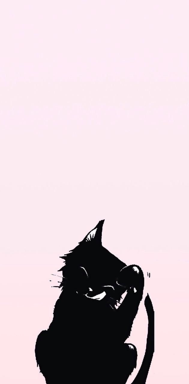 630x1280 Cute black cat wallpaper