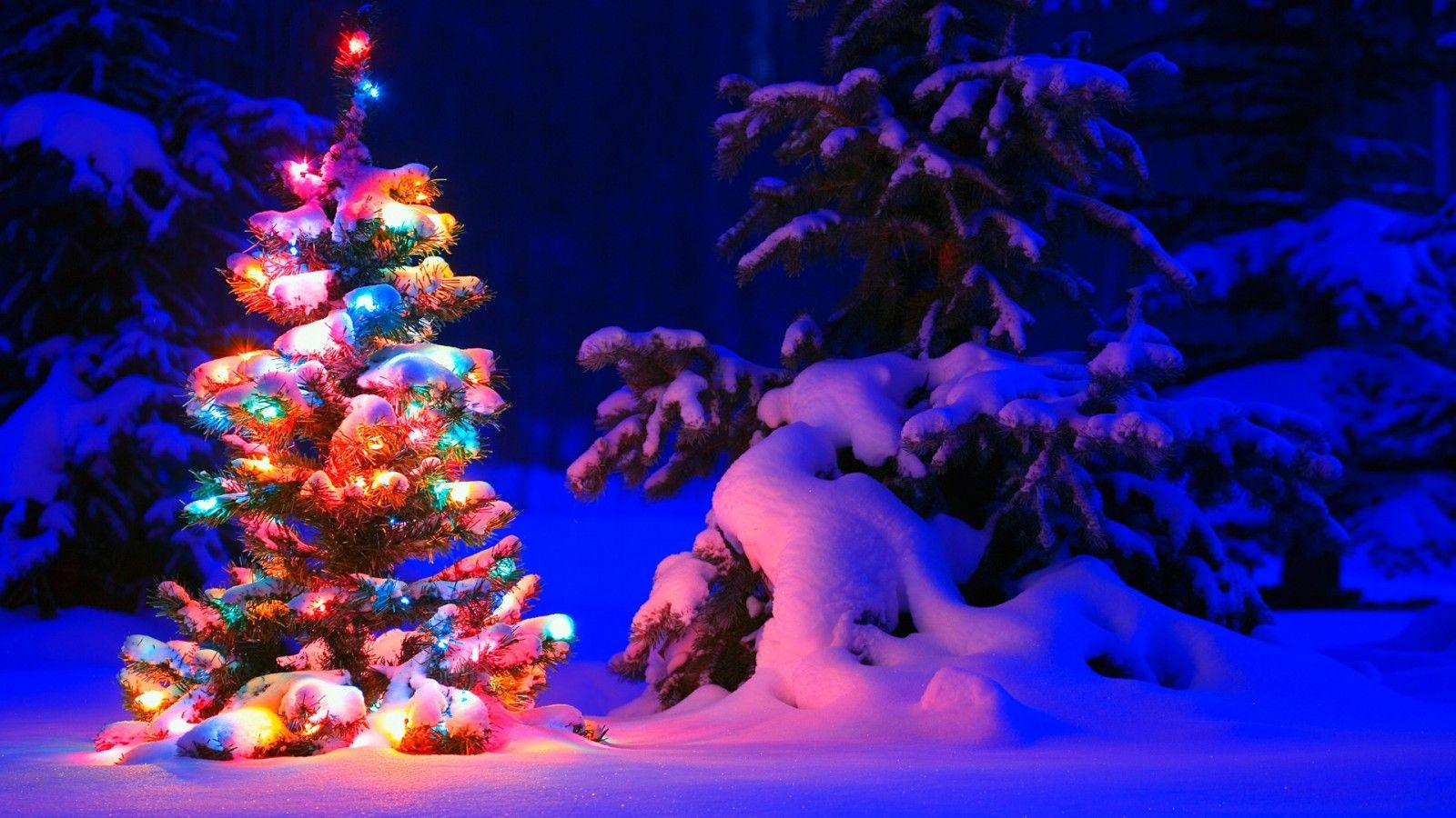 1600x900 Xmas Wallpaper HD 27476