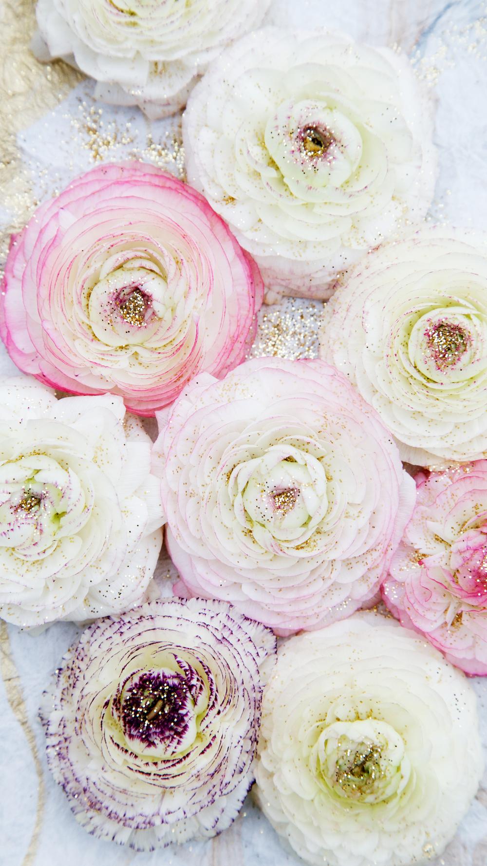 Winter Flower iPhone Wallpapers Top Free Winter Flower iPhone Backgrounds WallpaperAccess