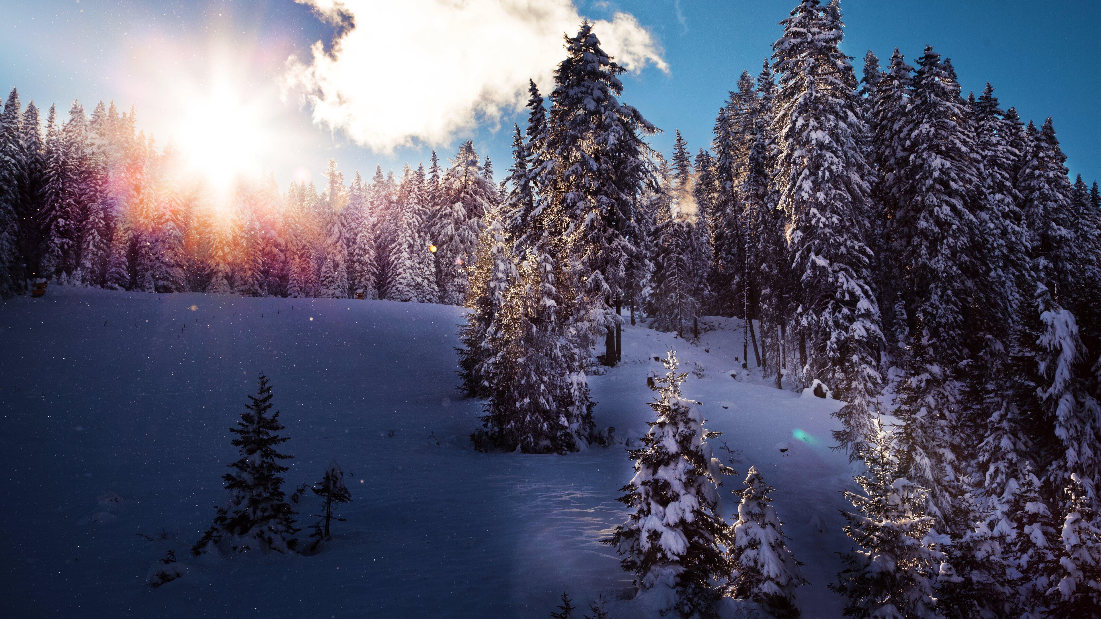 3840x2160 Nature Wallpaper HD Wallpaper 4k Winter