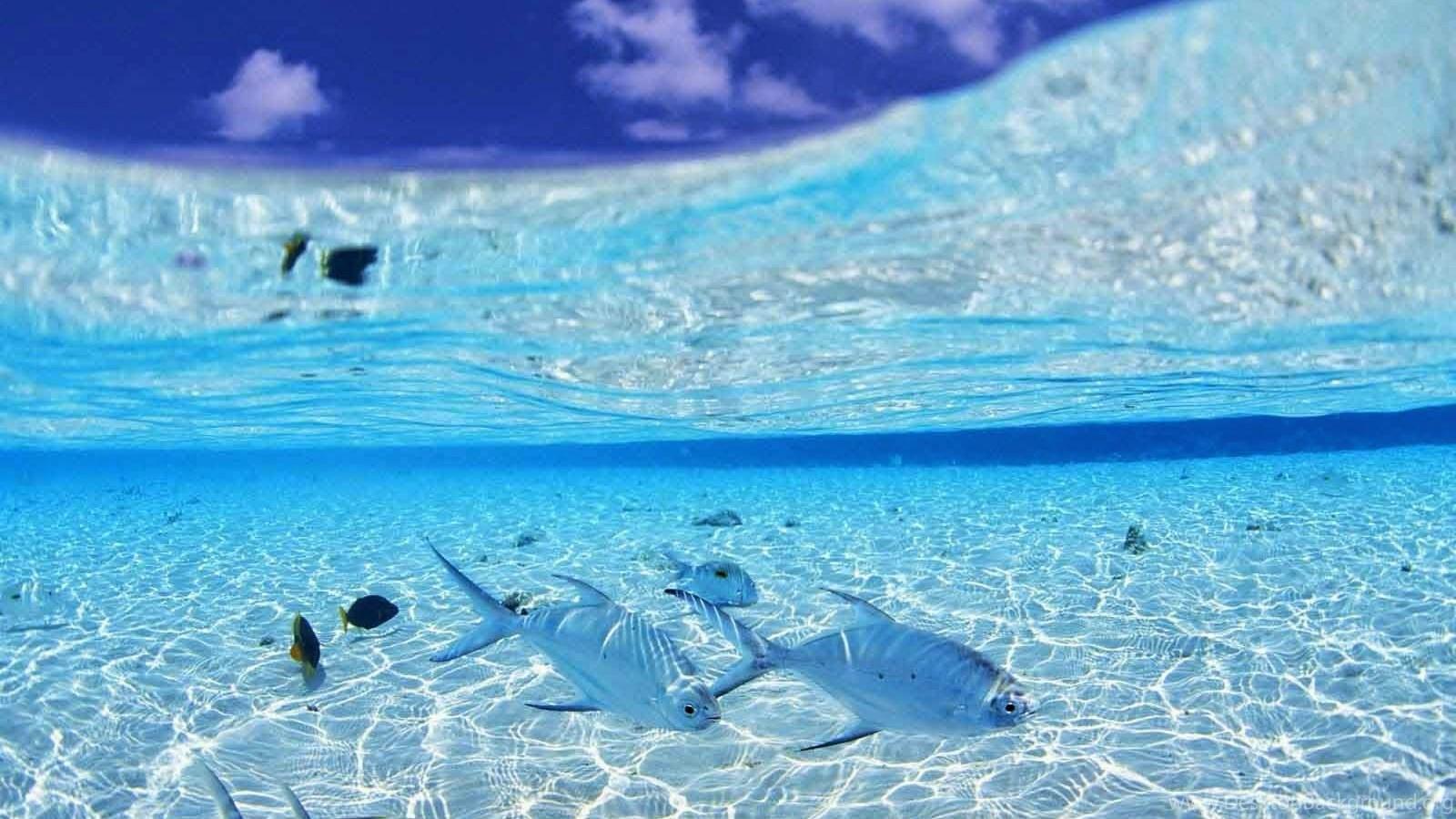 1600x900 Clear Water Wallpaper HD Wallpaper Background Of Your Choice Desktop Background