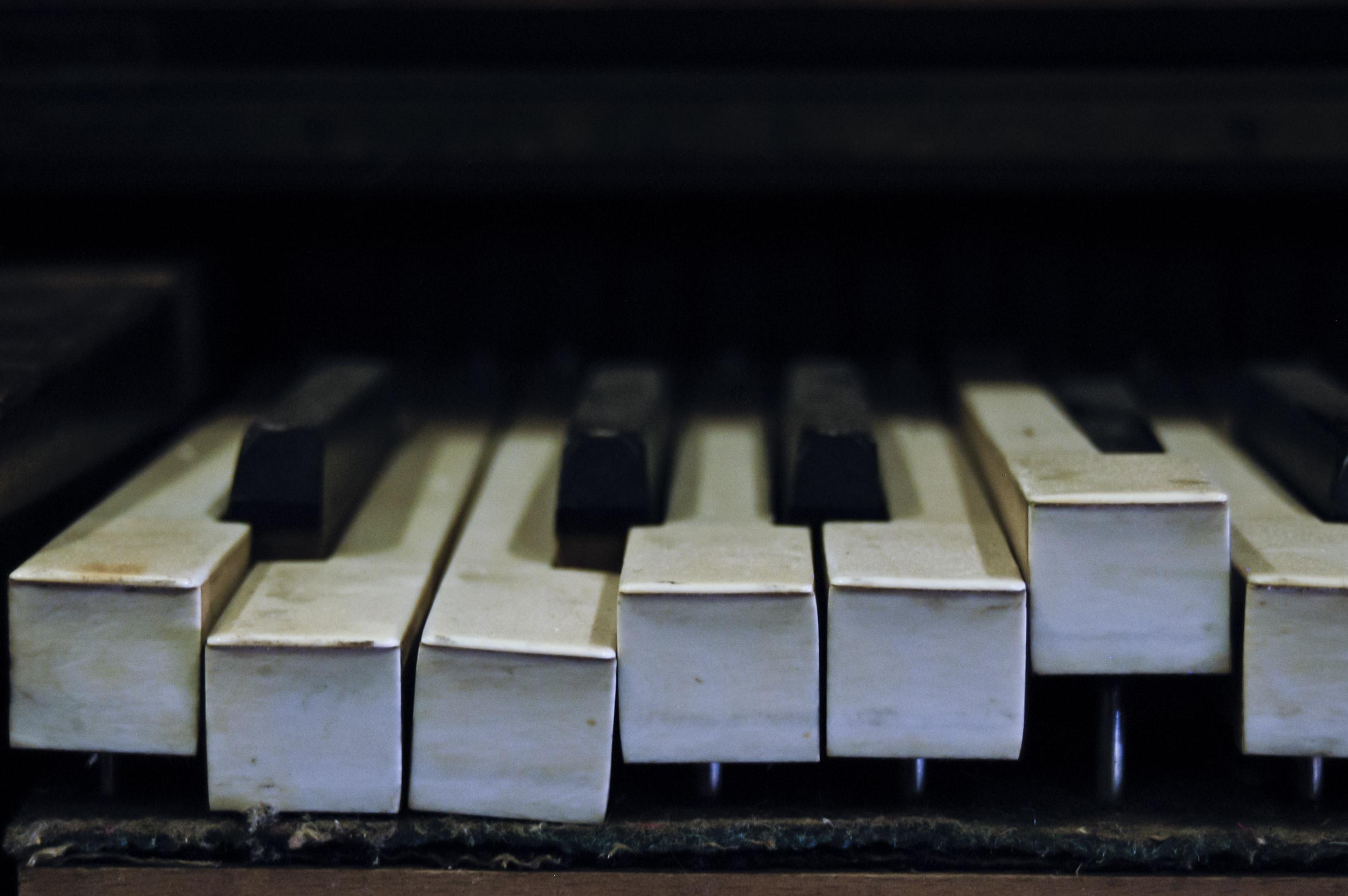 2799x1861 Broken Piano Keys, Quality Assurance, Protein