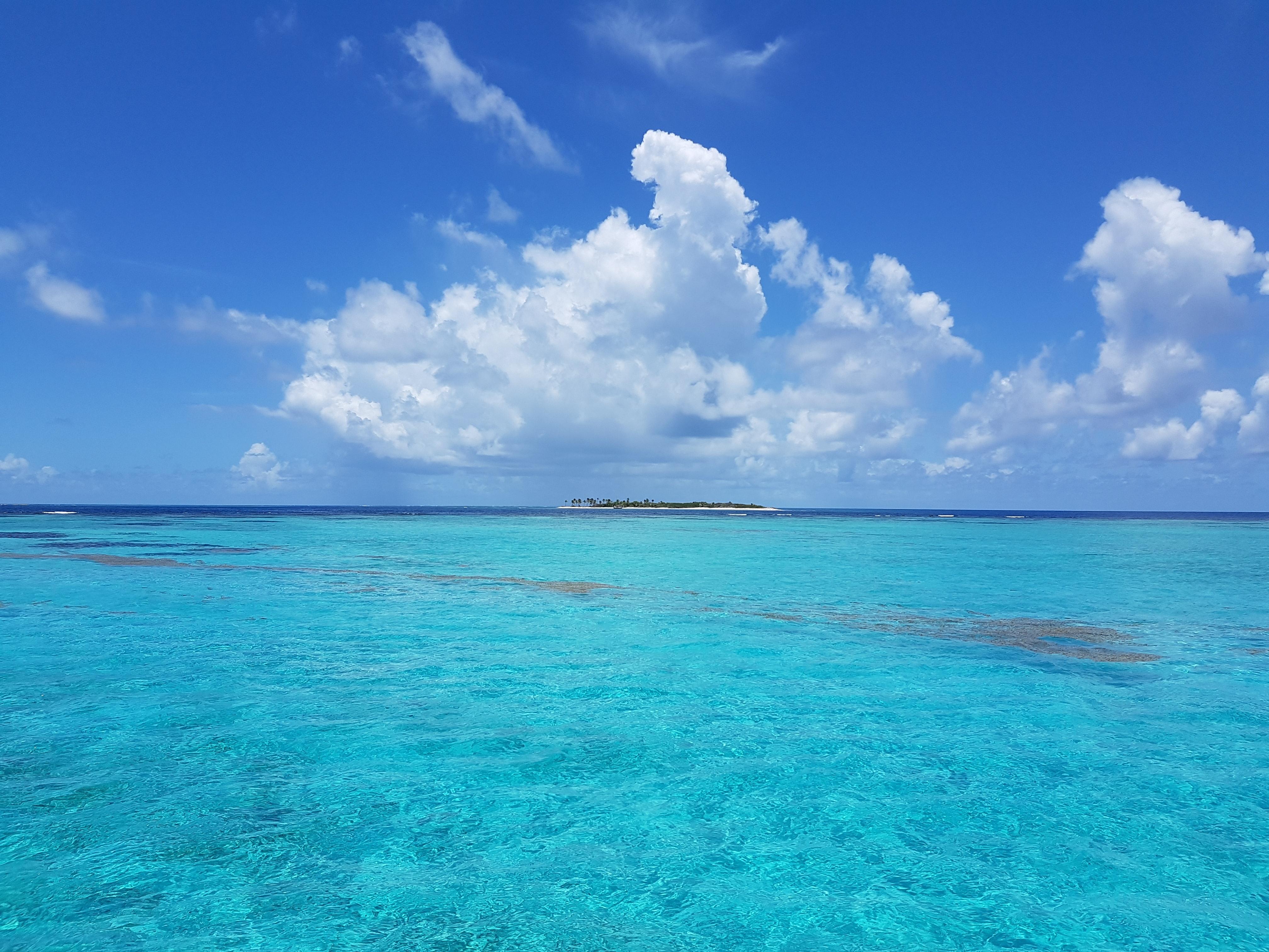 Воды карибских островов. Карибское море. Океан. Голубая вода. Чистое море.