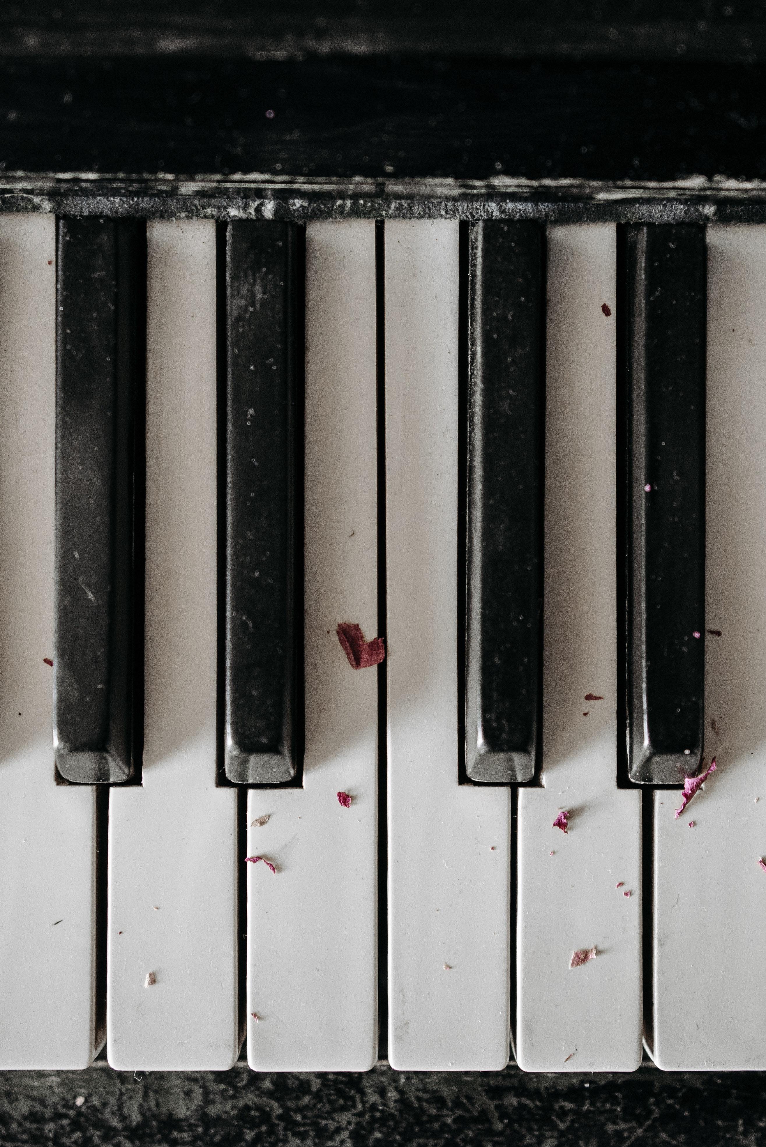 2630x3940 Black and White Piano Keys · Free