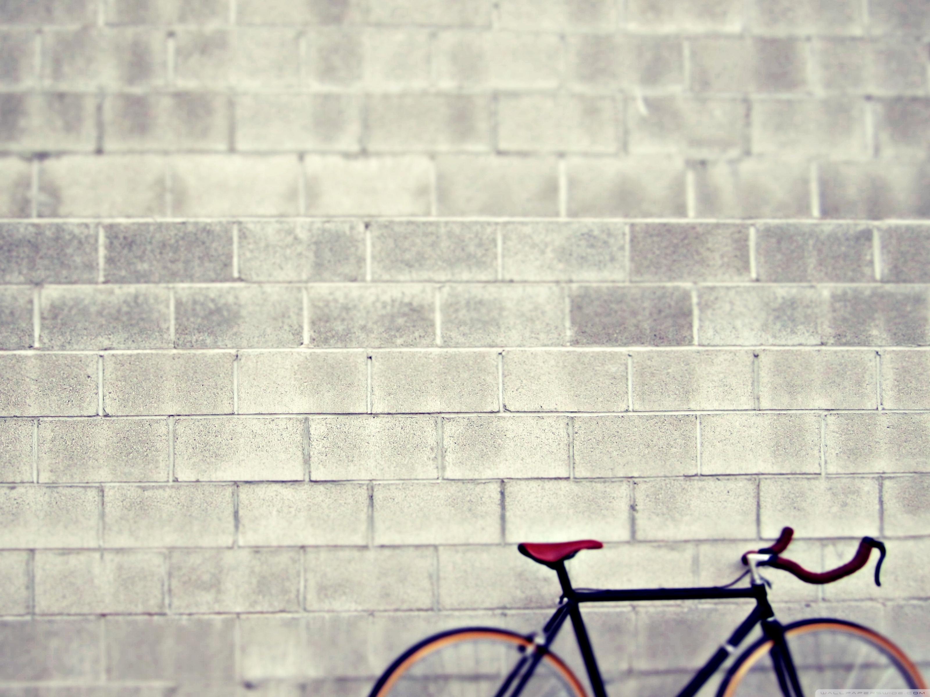 3200x2400 Schwinn Bicycle Ultra HD Desktop Background Wallpaper for : Widescreen & UltraWide Desktop & Laptop : Multi Display, Dual Monitor : Tablet