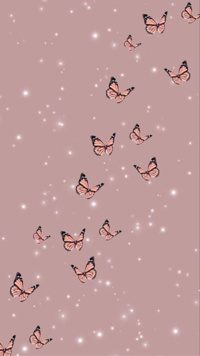Cute Cartoon Butterfly Wallpapers - Top Free Cute Cartoon Butterfly ...