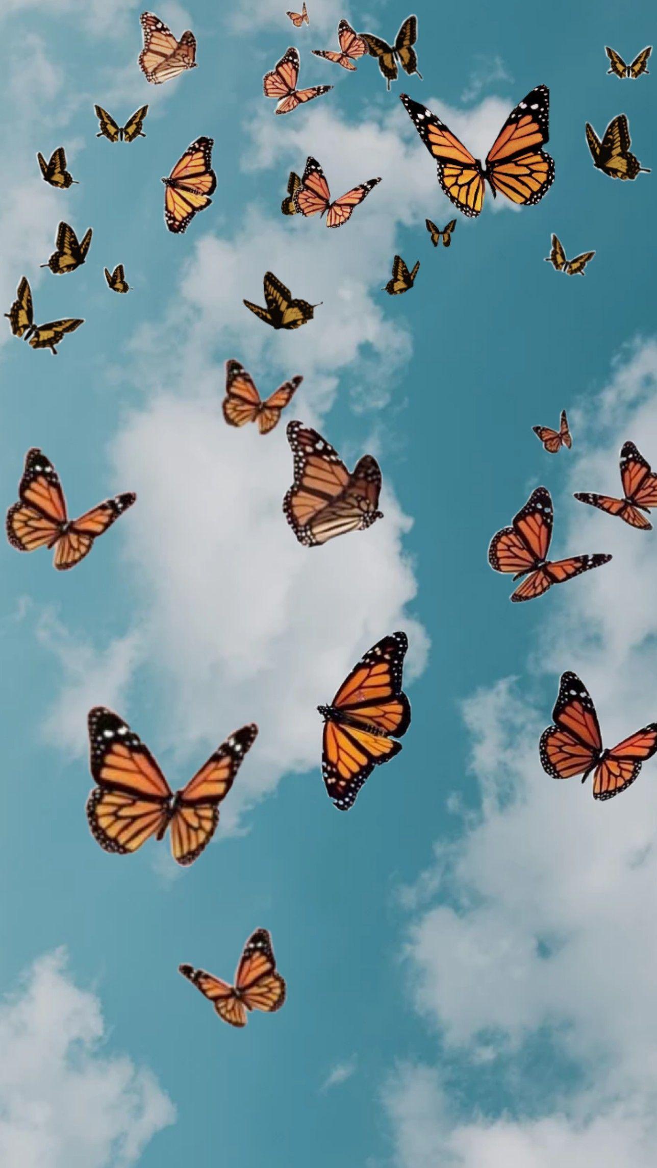 1288x2289 Summer Butterflies Wallpaper