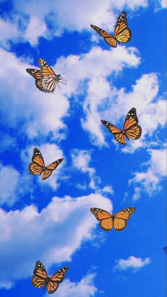675x1200 Wallpaper. Butterfly wallpaper iphone, Butterfly wallpaper, Cute patterns wallpaper