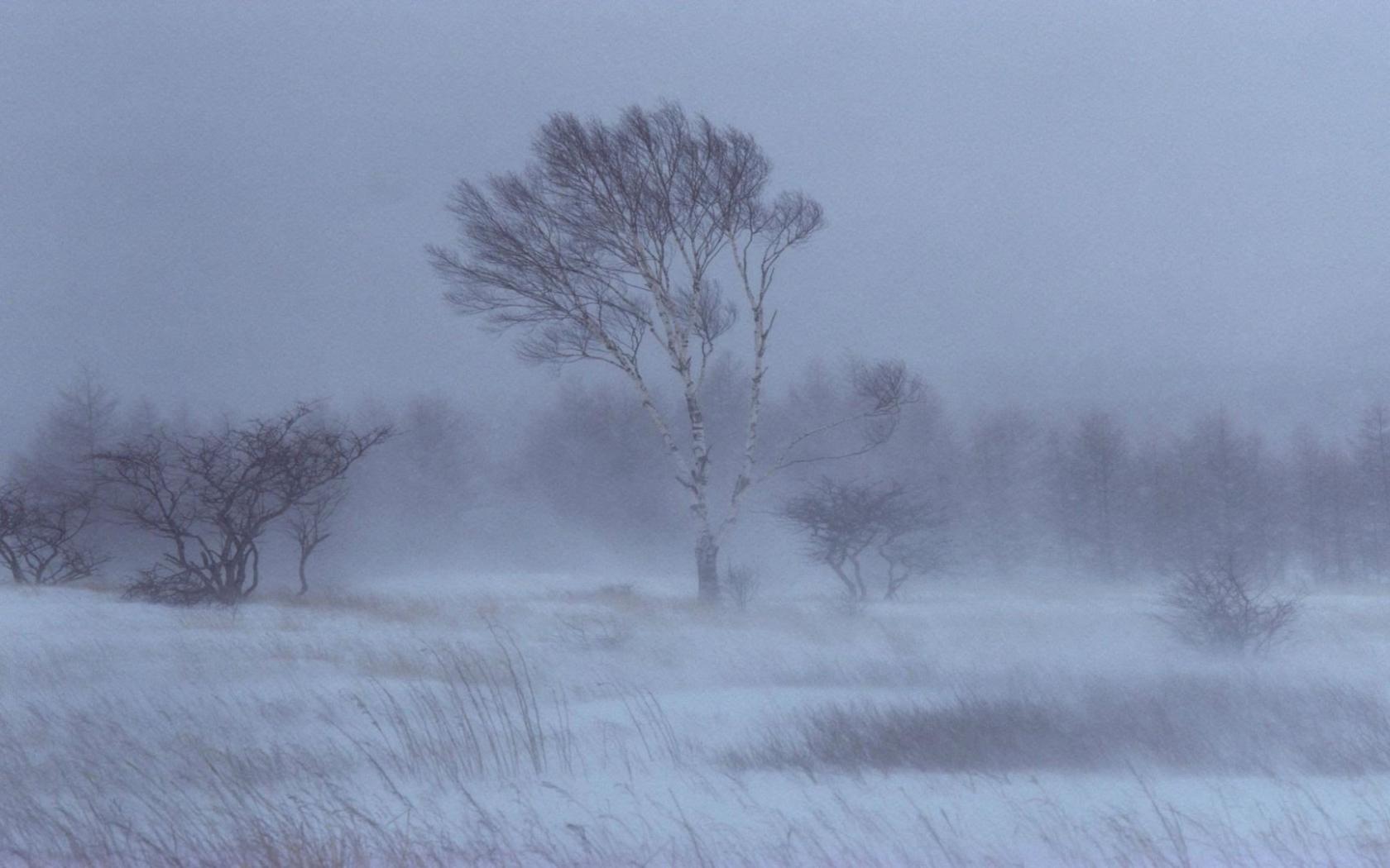 1680x1050 Free download Snow Storm Desktop Wallpaper HD Wallpaper Background of Your [1920x1080] for your Desktop, Mobile & Tablet. Explore Winter Storm Desktop Wallpaper. Thunderstorm Photo for Wallpaper, Live Storm