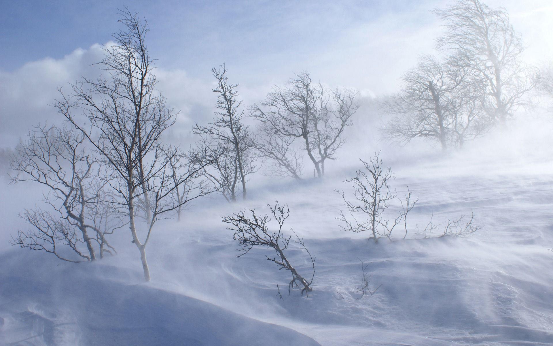 1920x1200 Winter Snow Storm Wallpaper