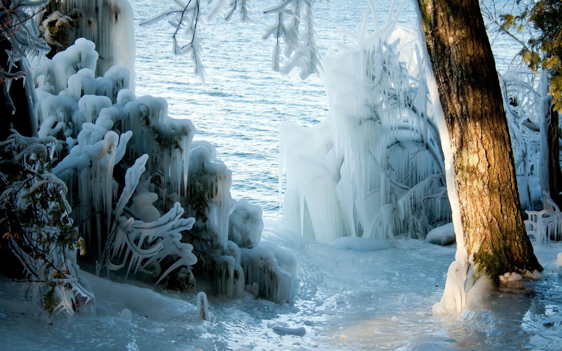 1920x1200 nature, Landscapes, Lakes, Trees, Forest, Wood, Ice, Storm, Winter, Seasons, Sunlight, Freezing Wallpaper HD / Desktop and Mobile Background