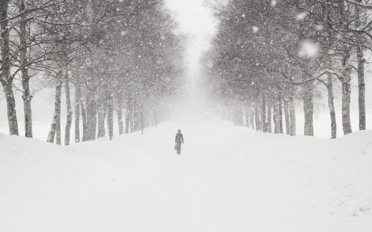 1280x800 Free download Snow Blizzard Wallpaper Winter snow blizzard [1280x800] for your Desktop, Mobile & Tablet. Explore Winter Blizzard Wallpaper. Snow Storm Wallpaper, Cozy Winter Storm Outside Wallpaper, Winter Storm Wallpaper