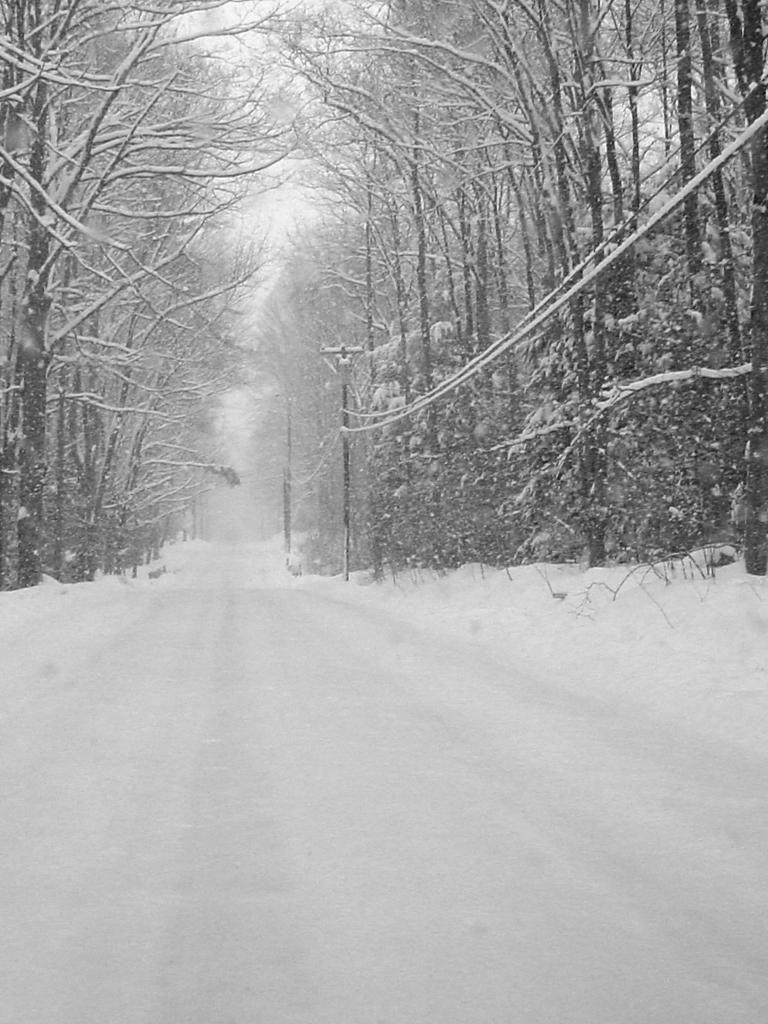768x1024 Winter Outdoors Wallpaper