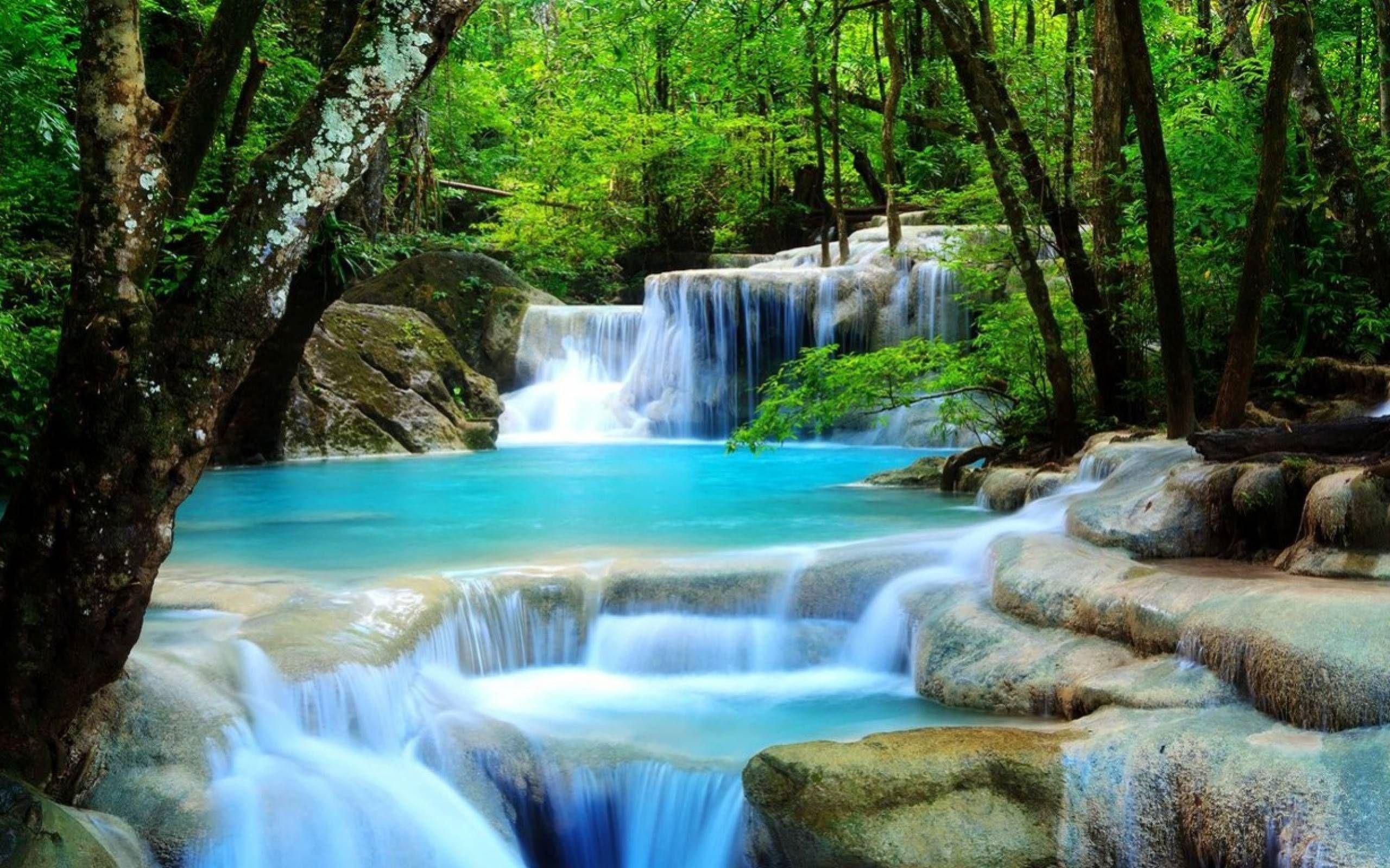 2560x1600 Waterfall Image For Desktop Wallpaper 2560 x 1600 px 1.2 MB rainforest tropical natures flowers beautiful widescreen travel forest HD. Пейзажи, Водопады, Фотообои