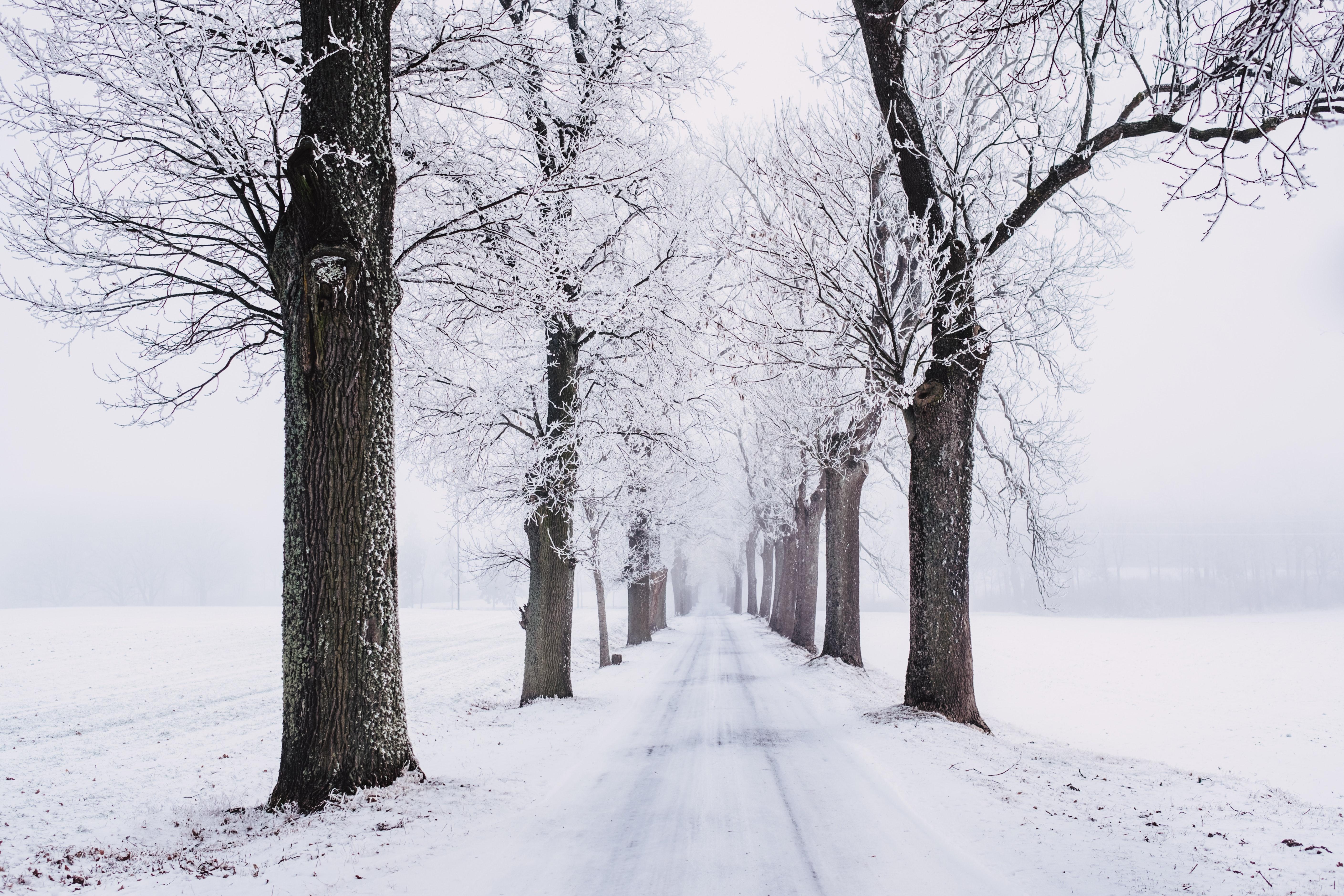5635x3757 Best Snow Photo · 100% Free Downloads