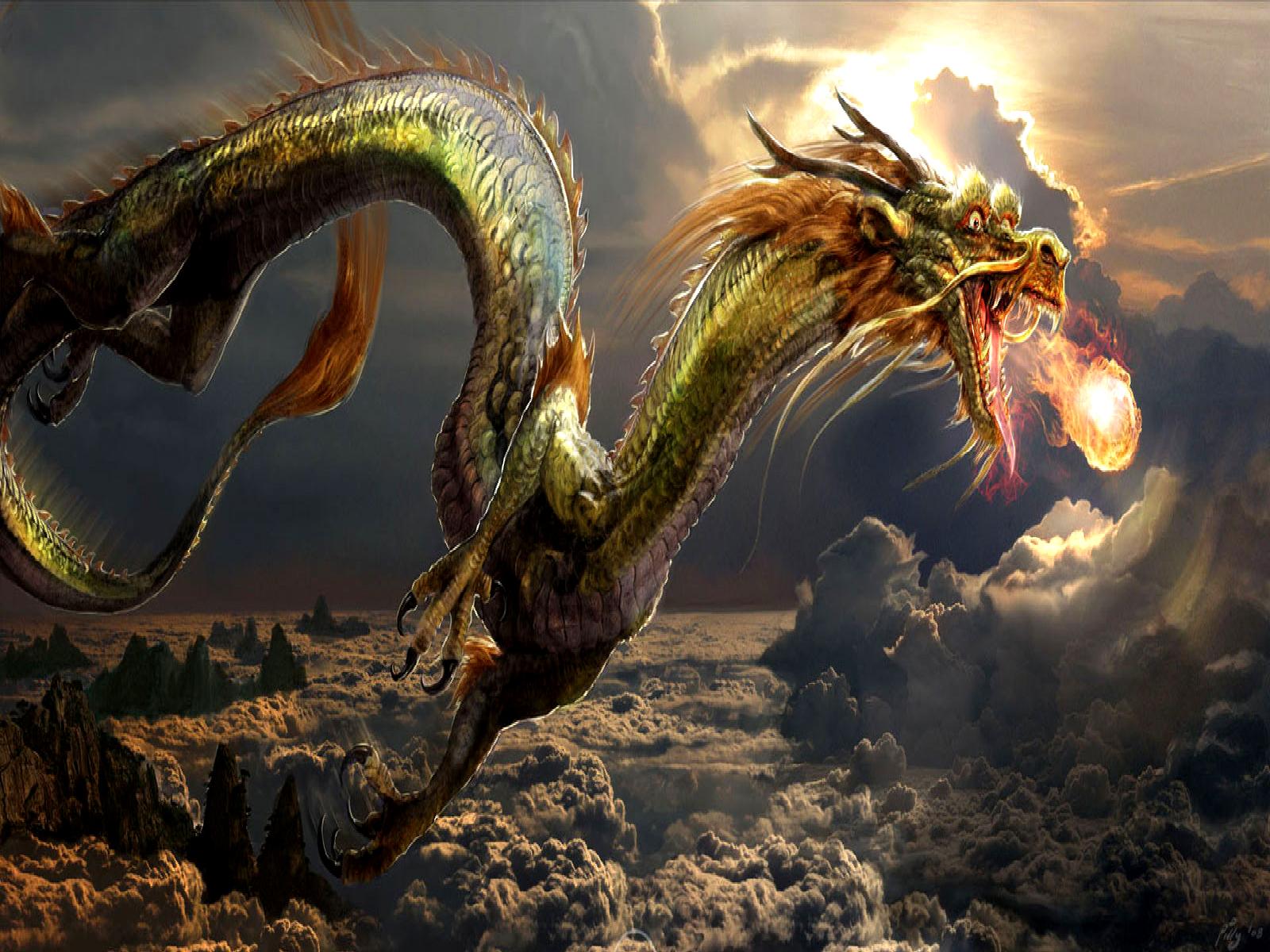 Colorful Dragon Wallpapers - Top Free Colorful Dragon Backgrounds ...