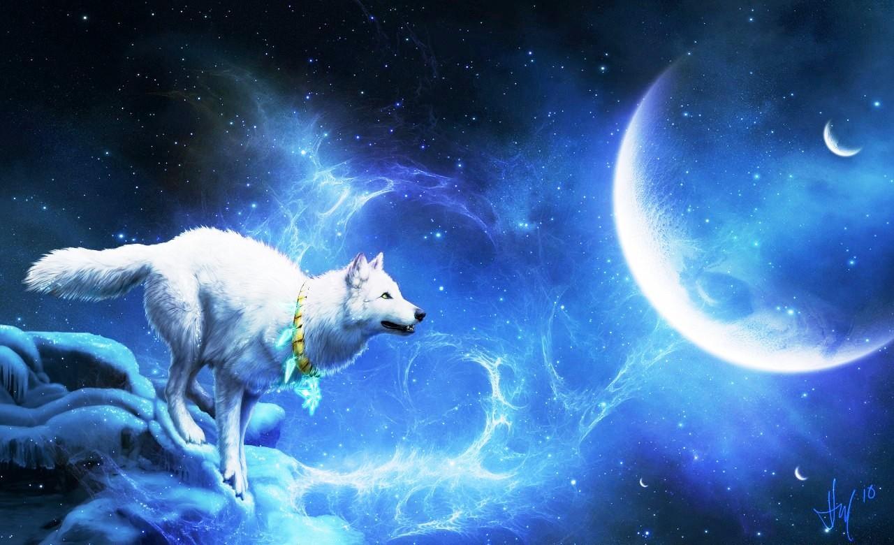 1280x780 White Wolf Moon Wallpaper