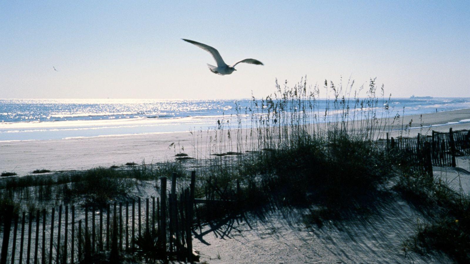 1600x900 Teen Bitten by Shark Off Isle of Palms, South Carolina