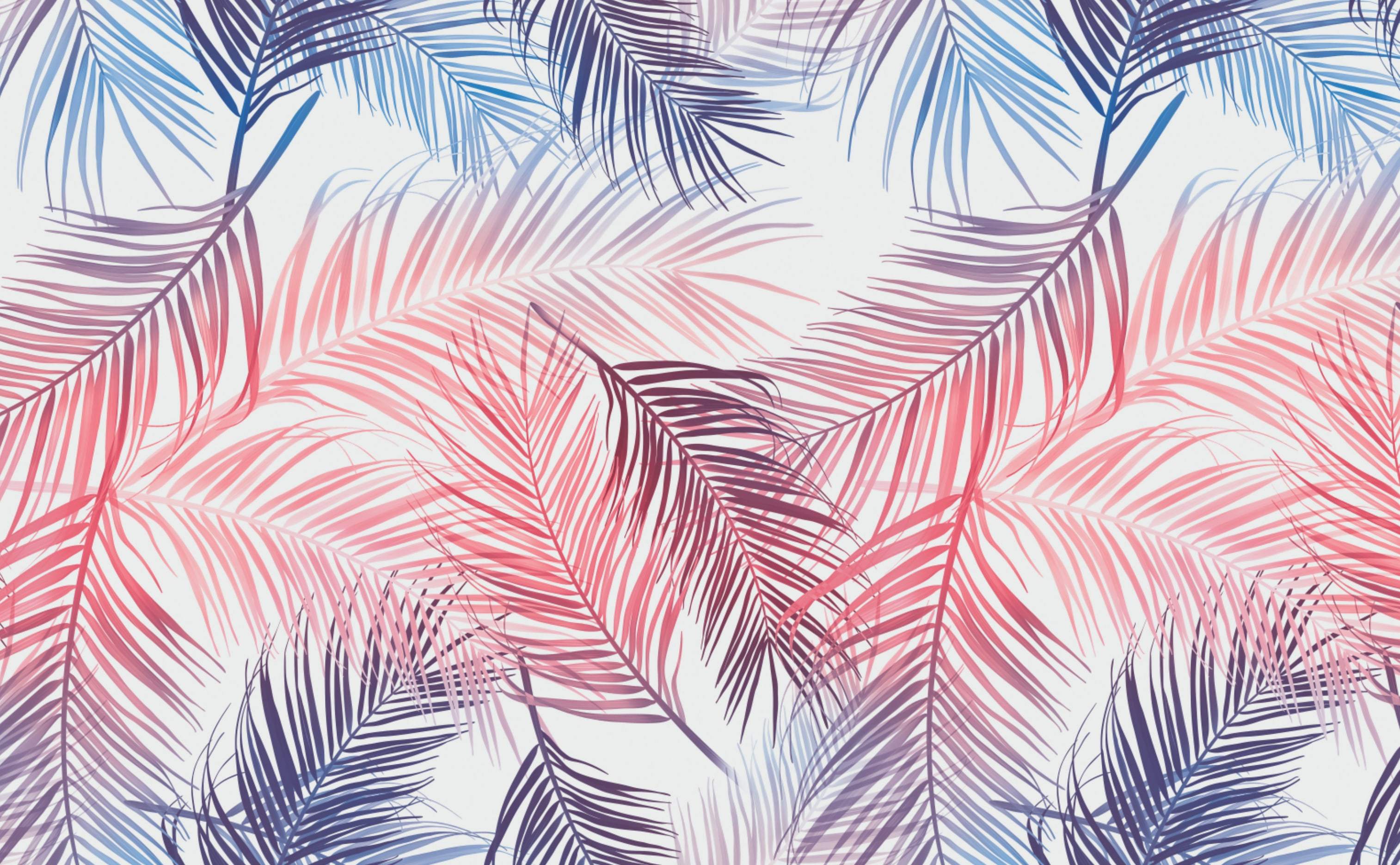 3028x1872 Palm Wallpaper