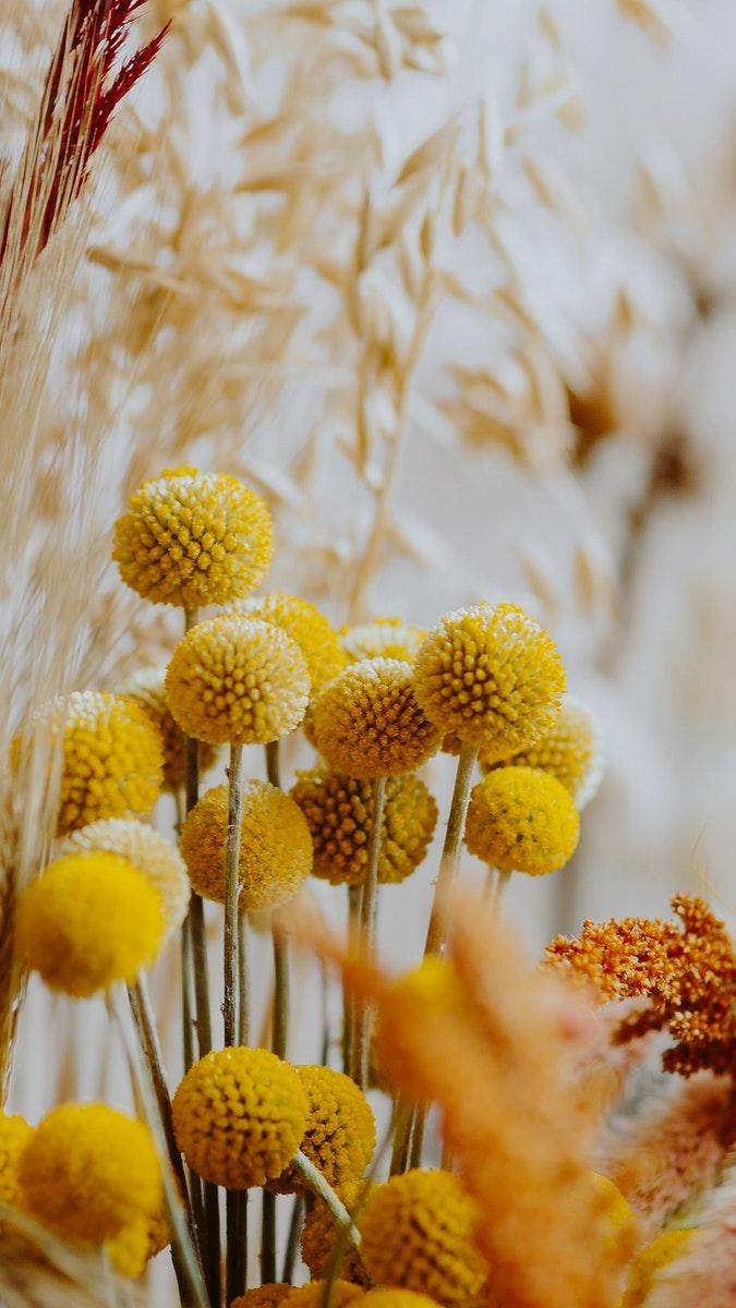 675x1200 Yellow flowers iphone wallpaper background
