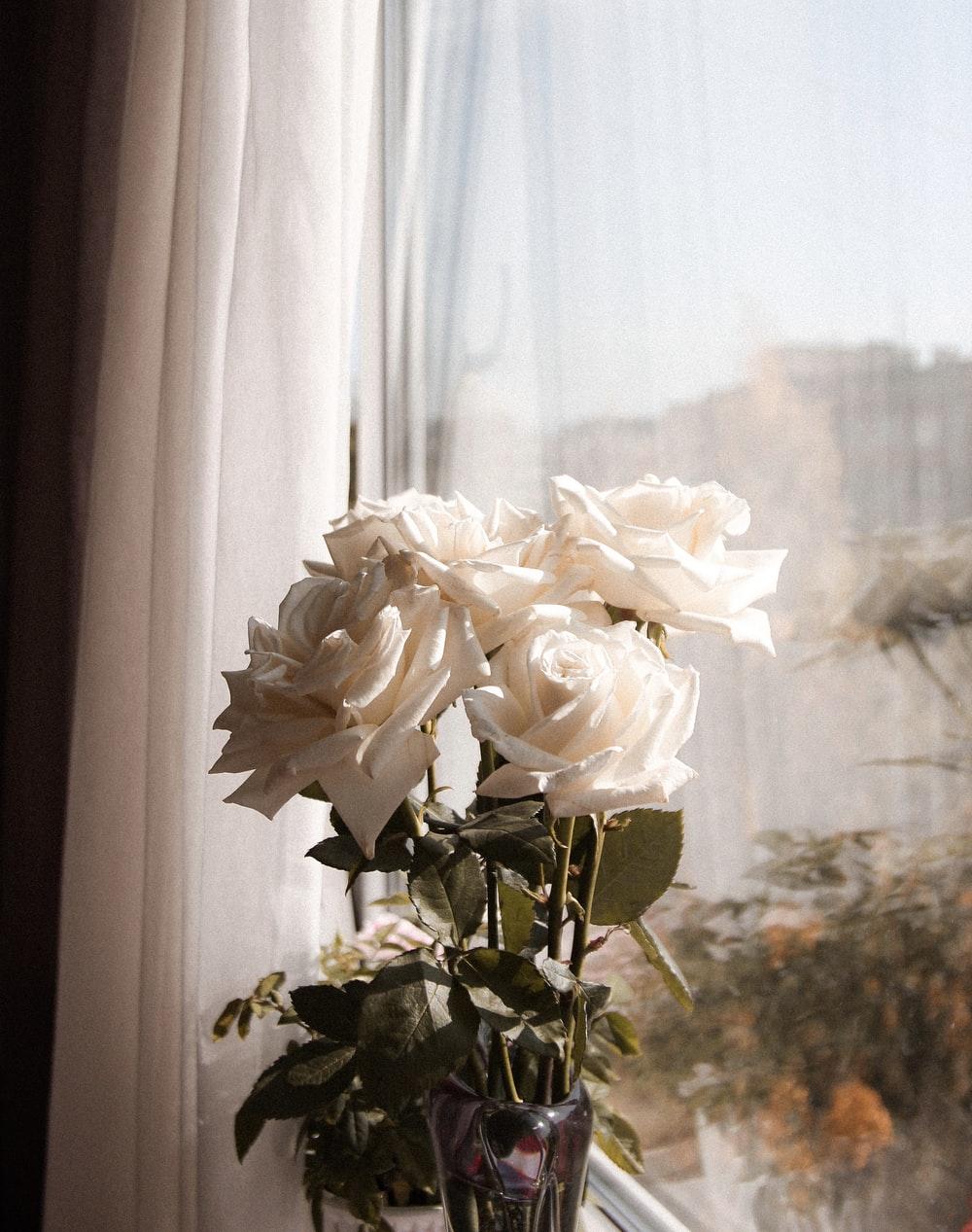 1000x1267 Flower iPhone Picture. Download Free Image