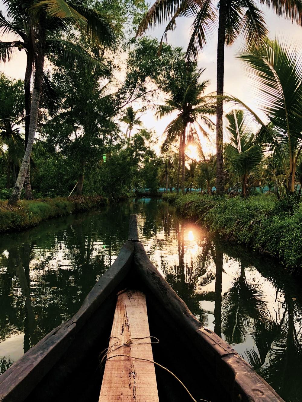 1000x1333 Kerala Backwaters Picture. Download Free Image
