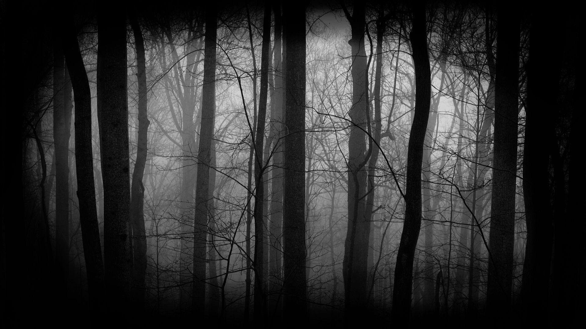 1920x1080 Dark Forest Wallpaper Best Dark Forest Background Download [ 35 + HD ]